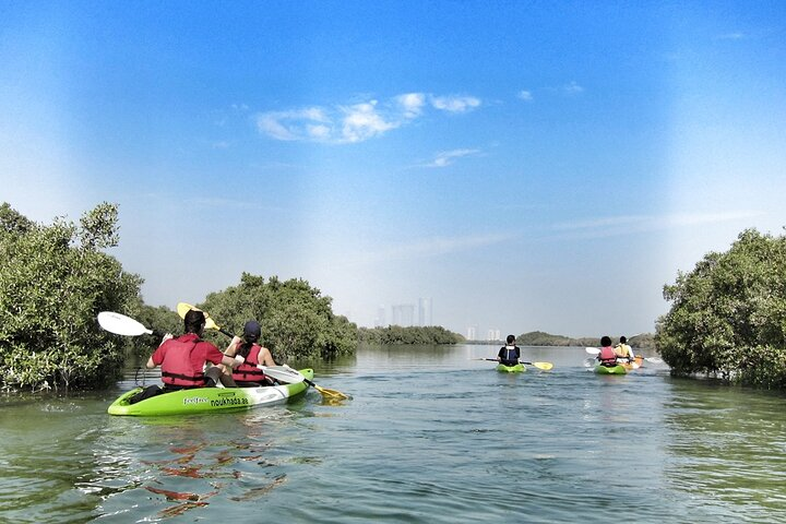 Mangrove Kayaking - Photo 1 of 4